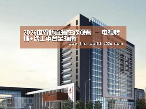 世界杯直播案例展示四