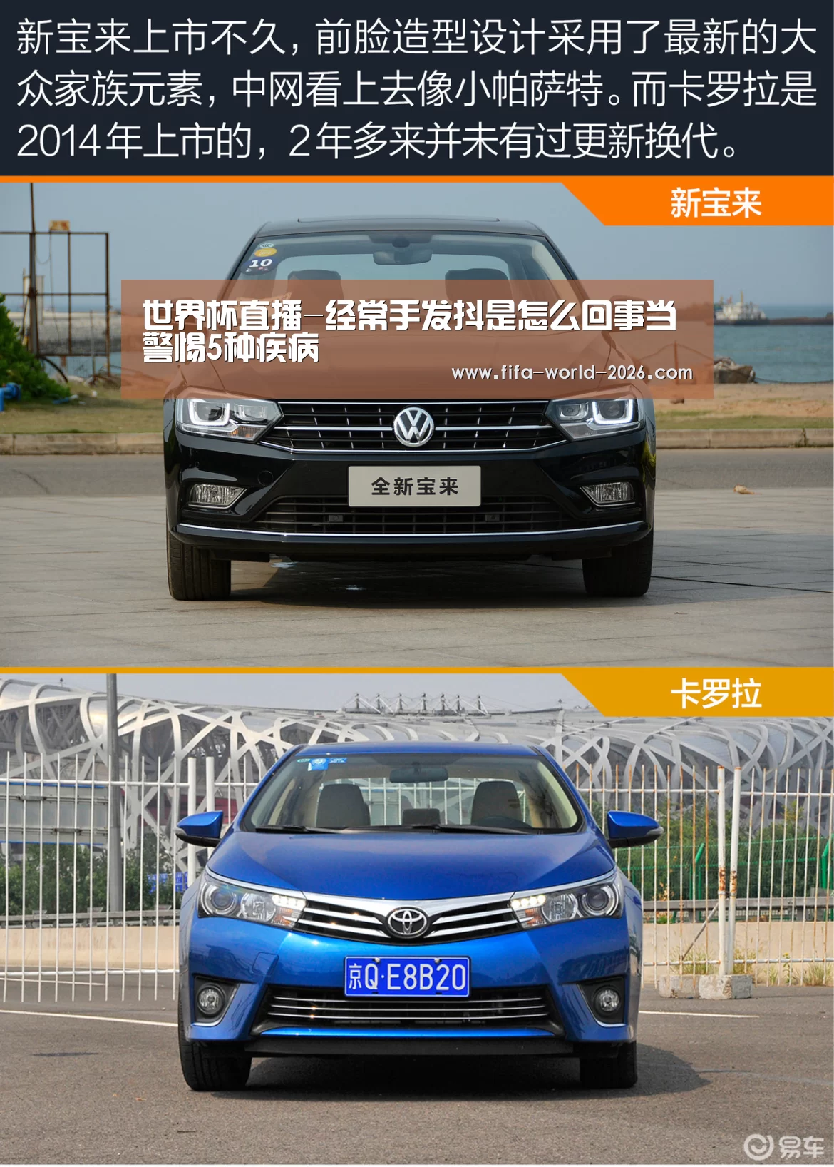 足球直播